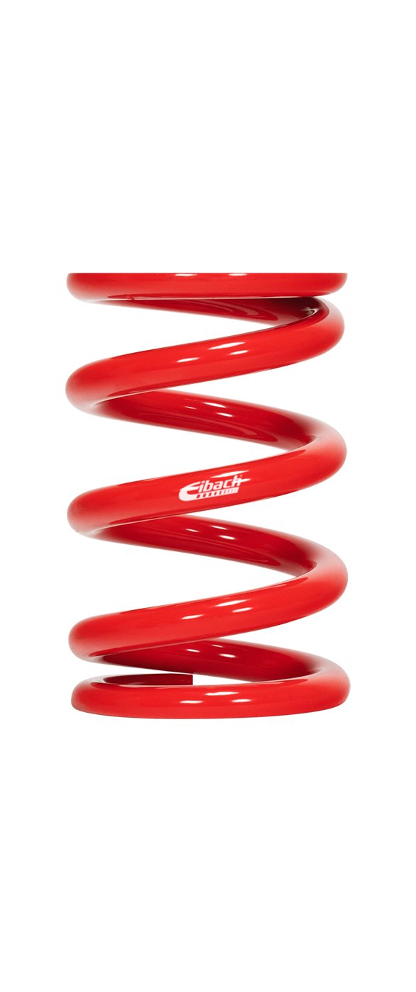Eibach ERS coilover race springs
